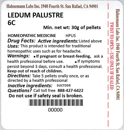 Ledum Palustre 6C 30g.jpg Ledum Palustre 6C 30g - Ledum Palustre 6C 30g